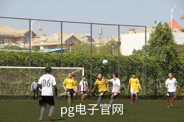 pg电子官网公司简介配图
